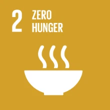 UN SDG 2 - Zero hunger
