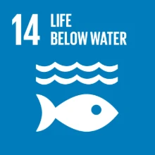 UN SDG 14 - Life below water